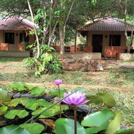 Hotel Niyagala Lodge سيغيرِيا المظهر الخارجي الصورة
