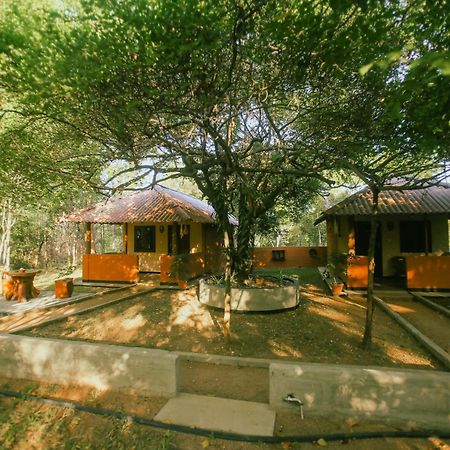 Hotel Niyagala Lodge سيغيرِيا المظهر الخارجي الصورة
