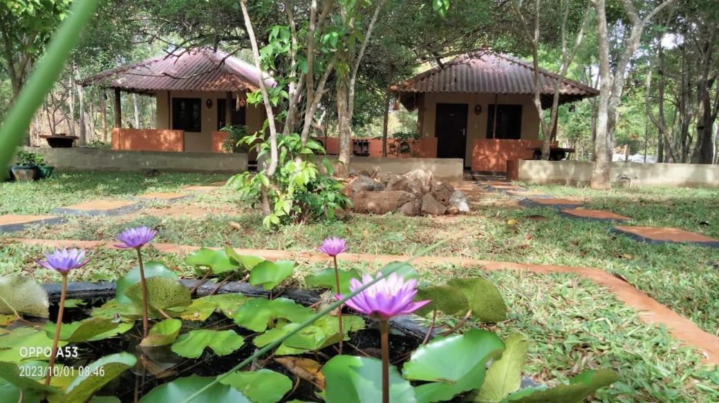 Hotel Niyagala Lodge سيغيرِيا المظهر الخارجي الصورة
