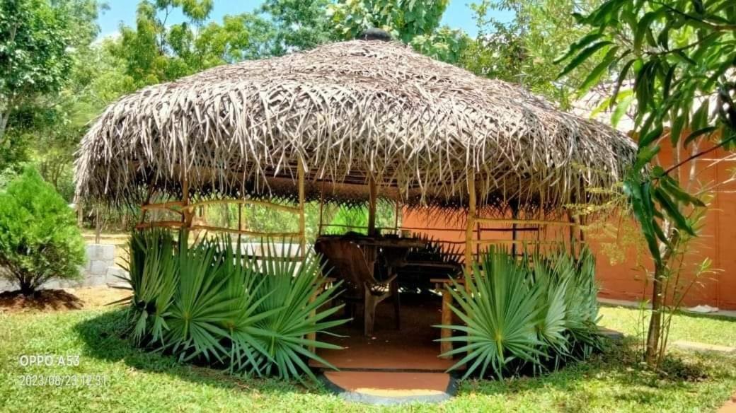 Hotel Niyagala Lodge سيغيرِيا المظهر الخارجي الصورة