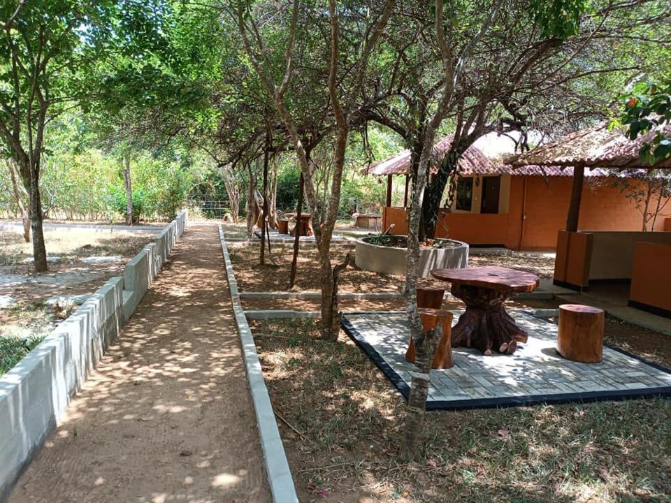 Hotel Niyagala Lodge سيغيرِيا المظهر الخارجي الصورة