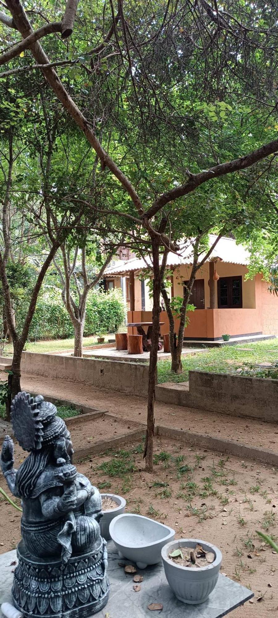 Hotel Niyagala Lodge سيغيرِيا المظهر الخارجي الصورة