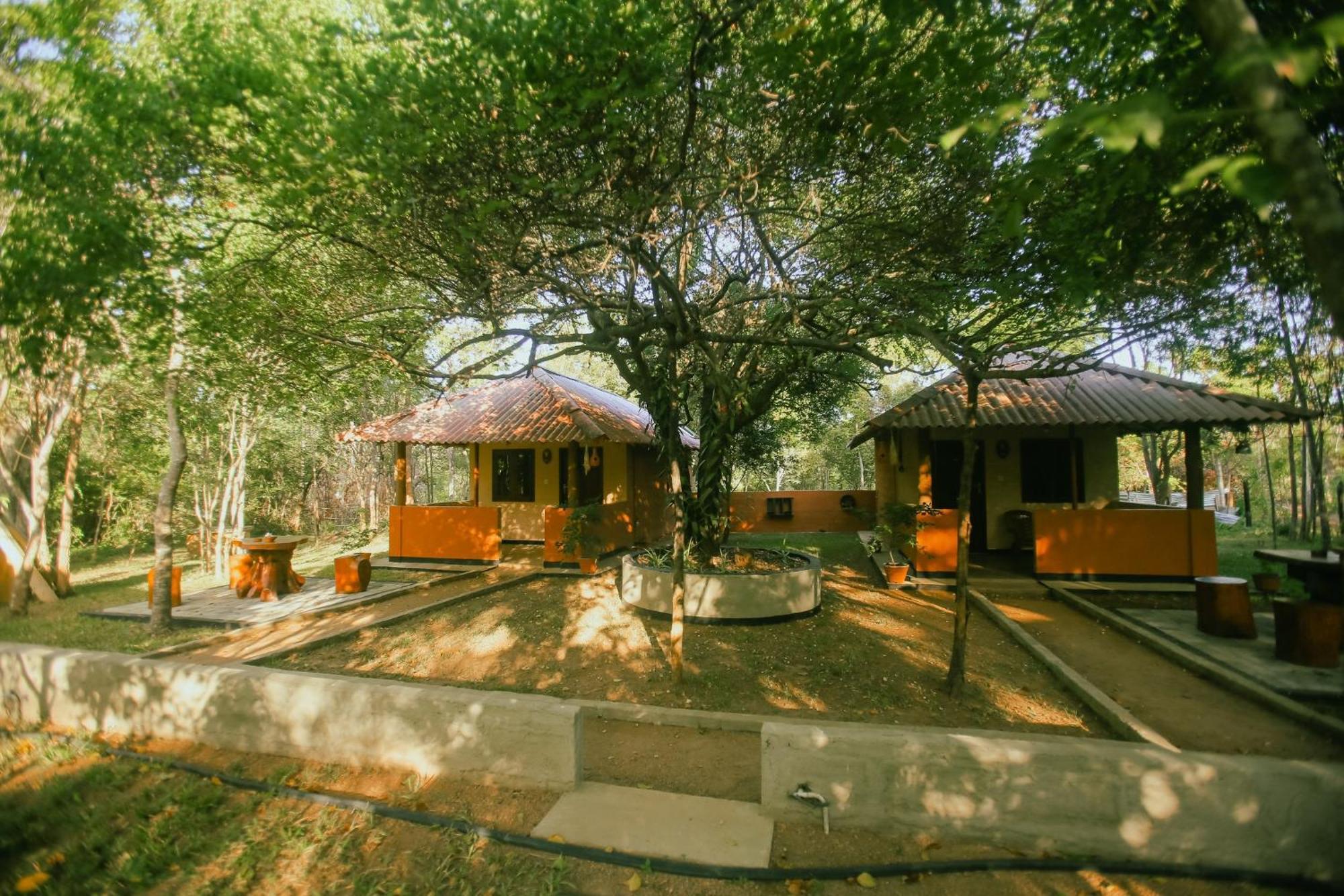 Hotel Niyagala Lodge سيغيرِيا المظهر الخارجي الصورة