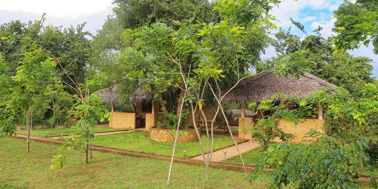 Hotel Niyagala Lodge سيغيرِيا المظهر الخارجي الصورة